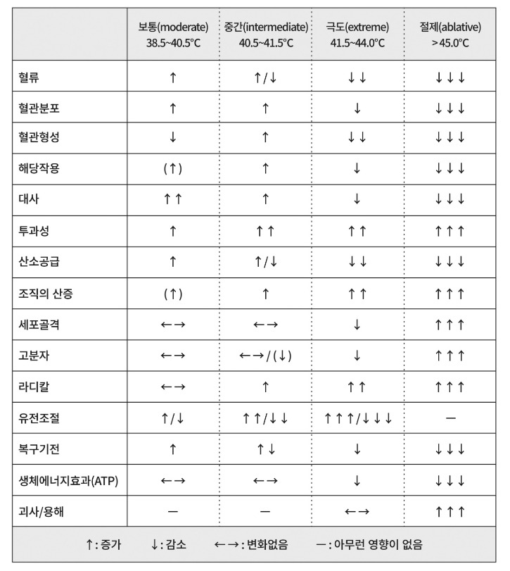 온도에따라_온열치료가_종양조직에작용하는기전.jpg